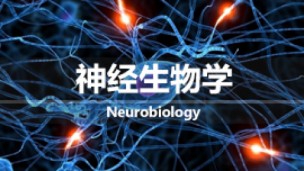 神经生物学