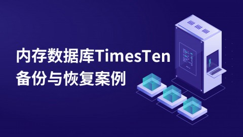 内存数据库TimesTen备份与恢复案例