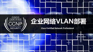 企业网络VLAN部署