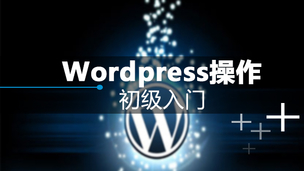 Wordpress安装和操作