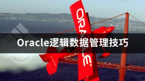 Oracle逻辑数据管理技巧