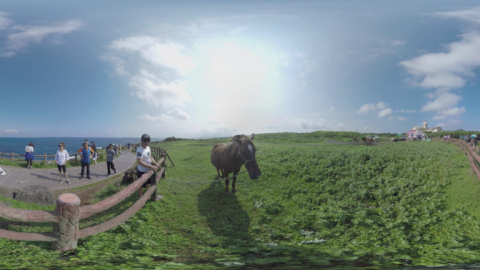 VR虚拟现实 济州岛漫步