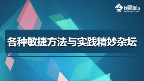 各种敏捷方法与实践精妙杂坛