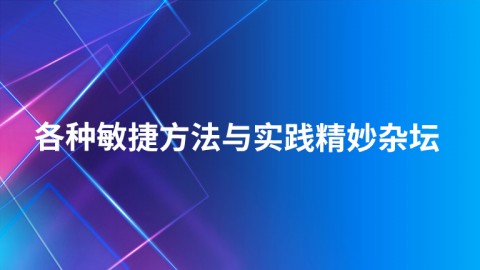 各种敏捷方法与实践精妙杂坛