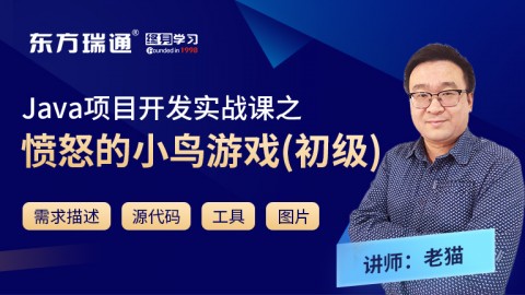 Java项目开发实战课之愤怒的小鸟游戏（初级）