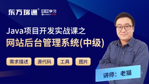 Java项目开发实战课之网站后台管理系统（中级）