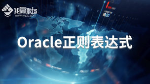 Oracle正则表达式