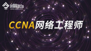 CCNA网络工程师