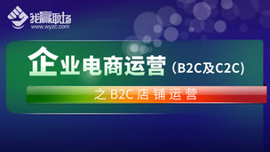 企业电商运营（B2C及C2C）之B2C店铺运营