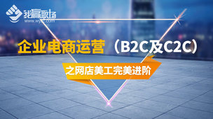 企业电商运营（B2C及C2C）之网店美工完美进阶