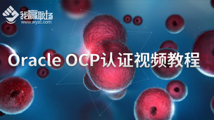Oracle OCP认证视频教程